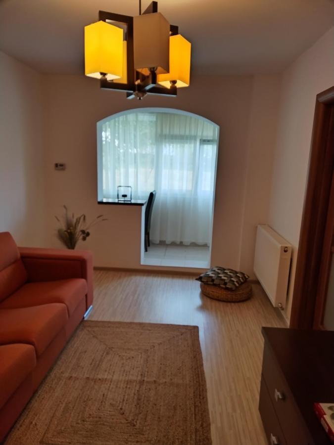 Chic Apartment Piteşti Esterno foto